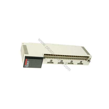 Schneider 140DAO84210C Internal by RC filter - Professional