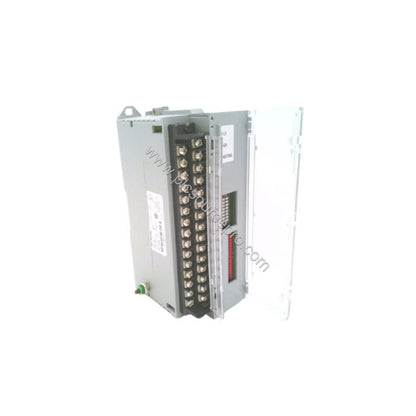 Figure 2: Close-up of the Allen-Bradley 1791-24A8 module terminals and wiring points, illustrating its 24 input and 8 output 