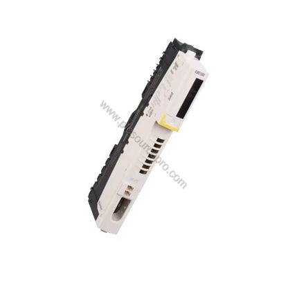 Schneider STBACI1230K Standard analog input kit - Flexible